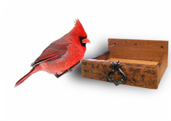 Birdhouses For Cardinals. Houses Cardinal Nest Boxes